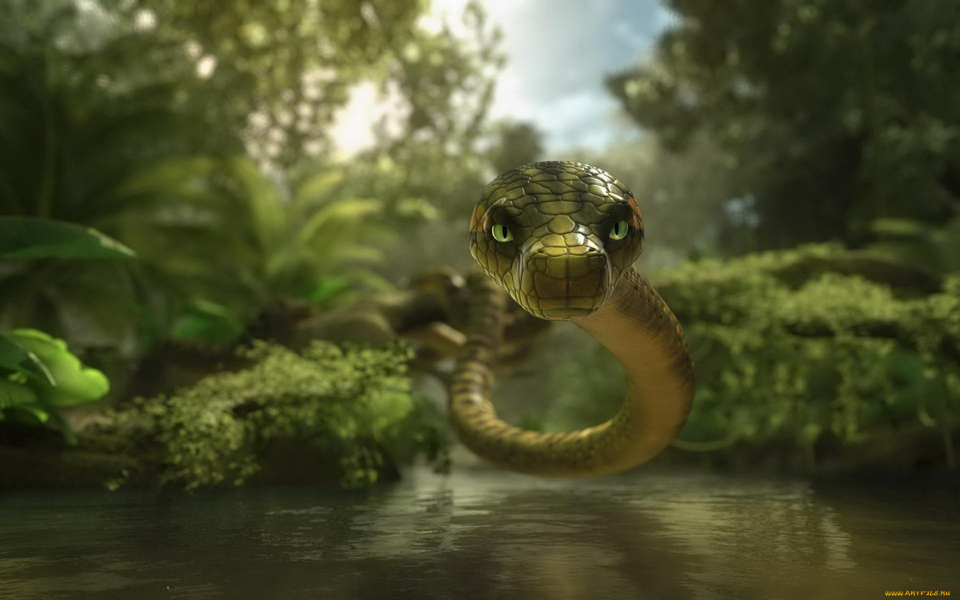 snake, 3, , animals, , 